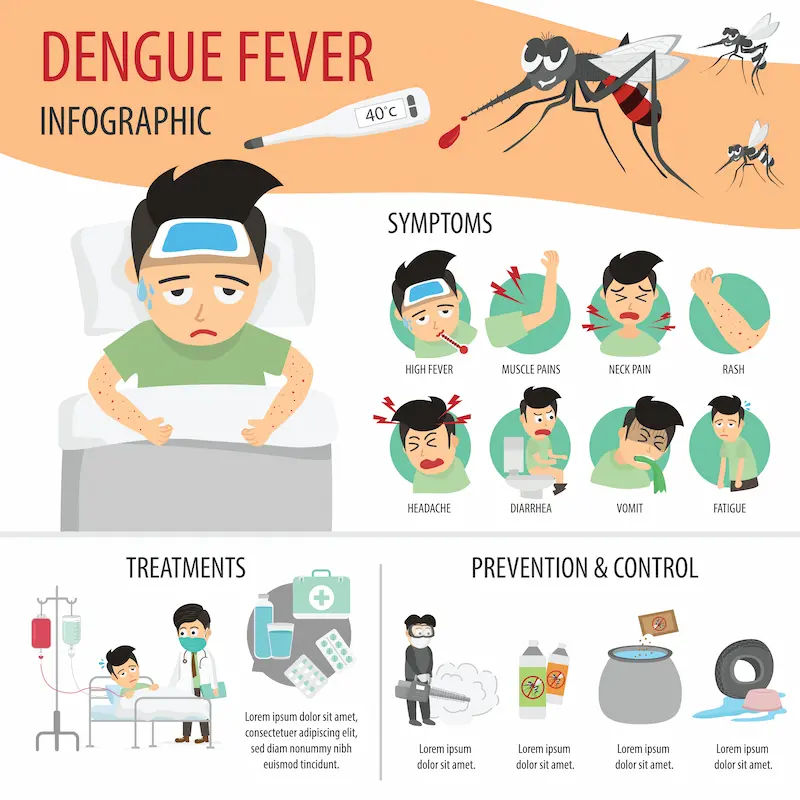 Dengue Fever Recognise the Signs, Get the Right Diagnosis